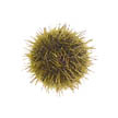 Green Urchin Management Areas Remaining Quota Report
